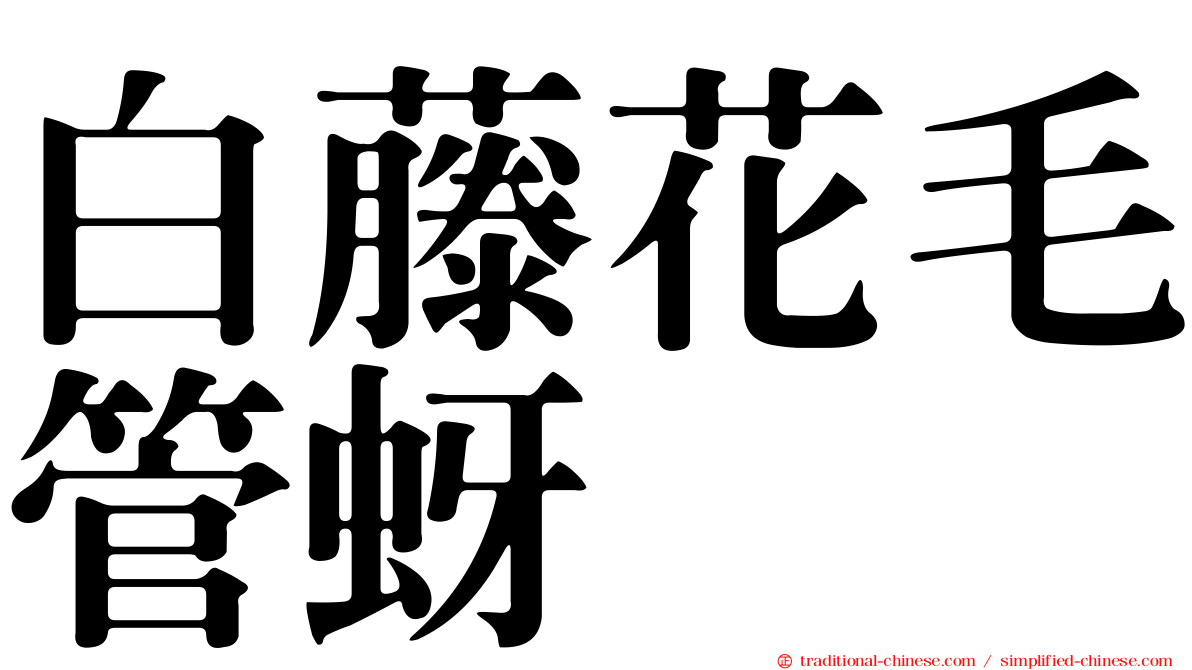 白藤花毛管蚜