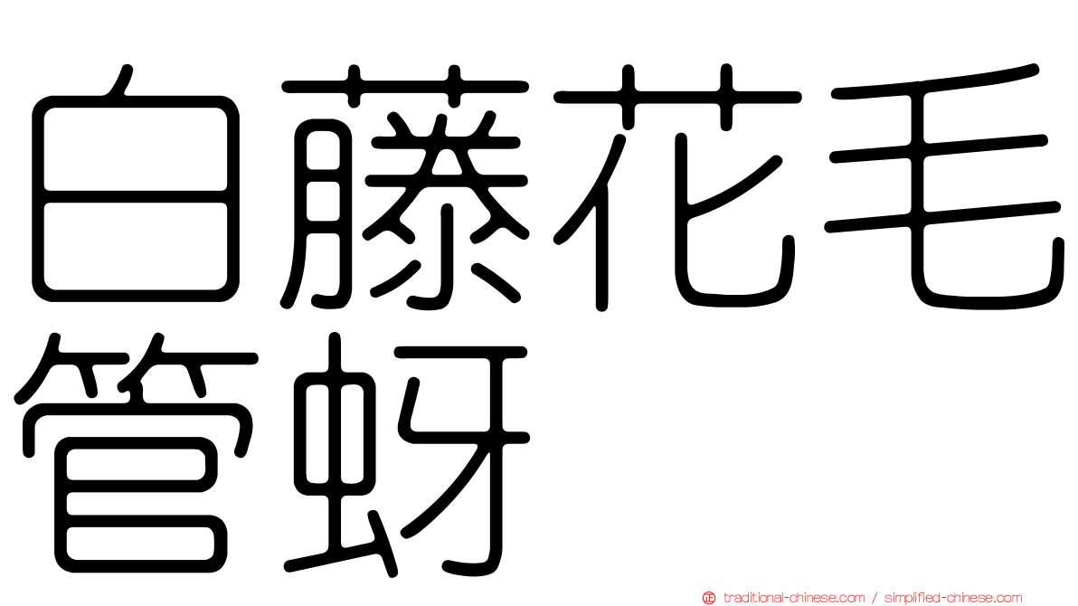 白藤花毛管蚜