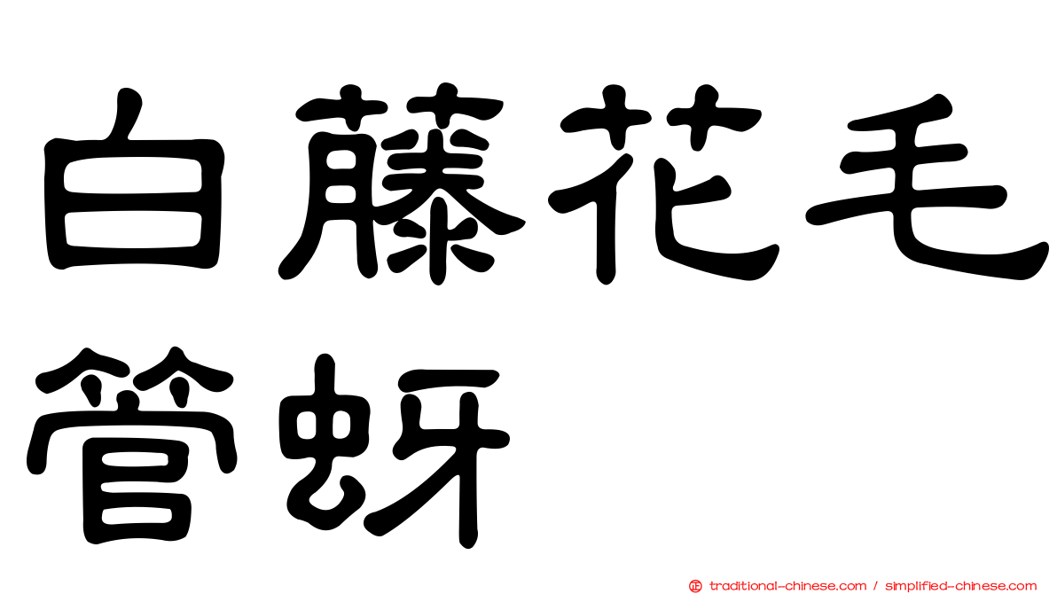 白藤花毛管蚜
