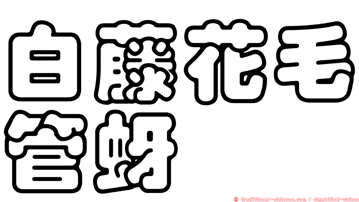 白藤花毛管蚜