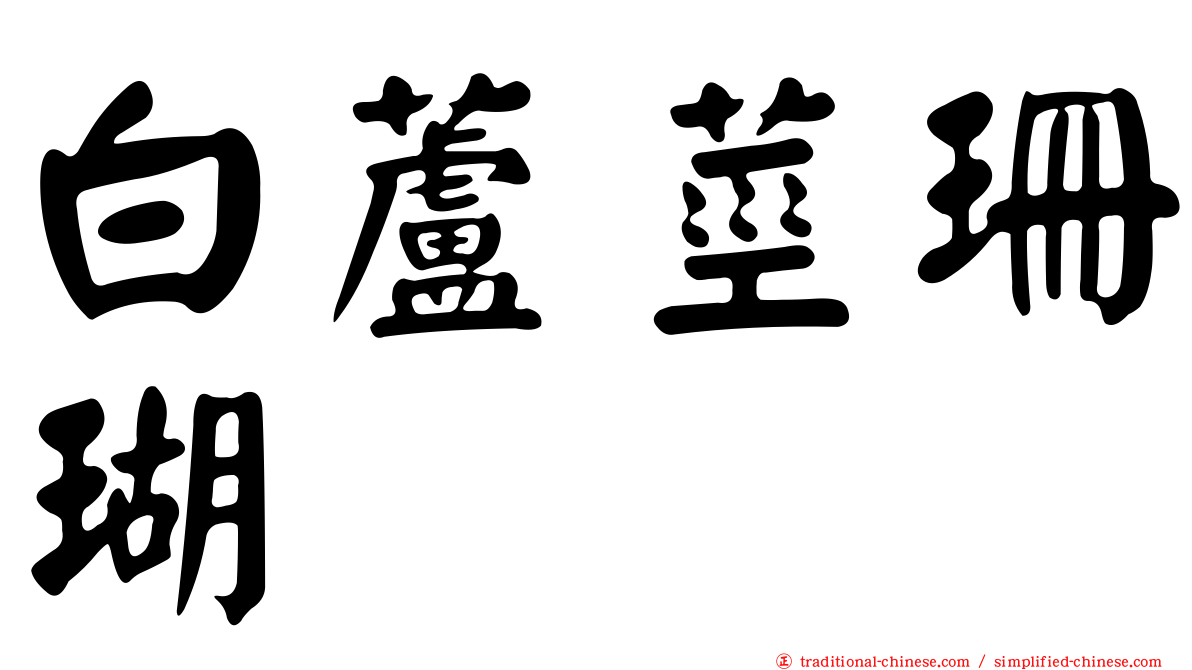 白蘆莖珊瑚
