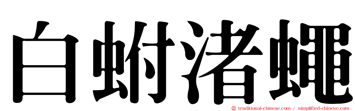 白蚹渚蠅