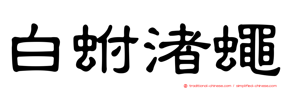 白蚹渚蠅