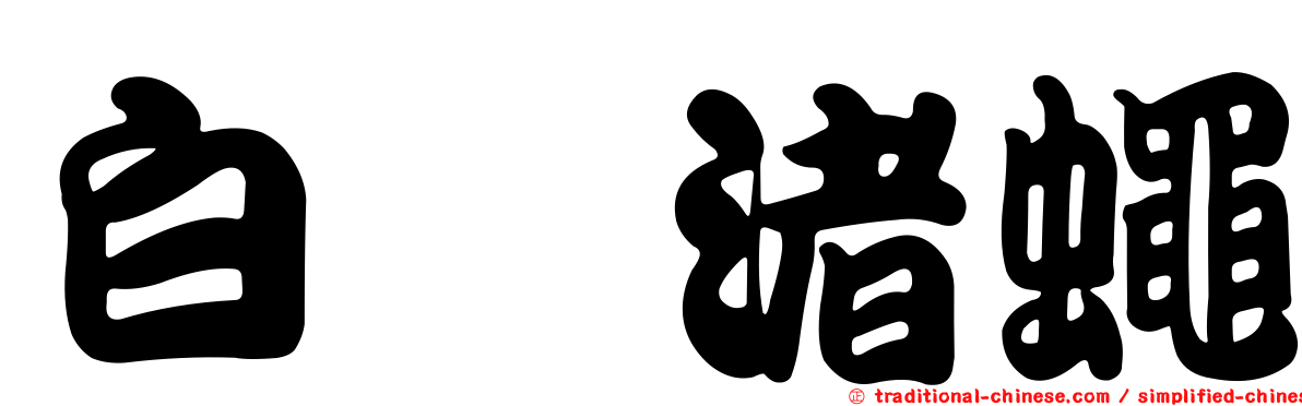 白蚹渚蠅
