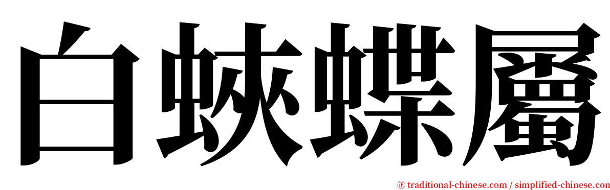 白蛺蝶屬 serif font
