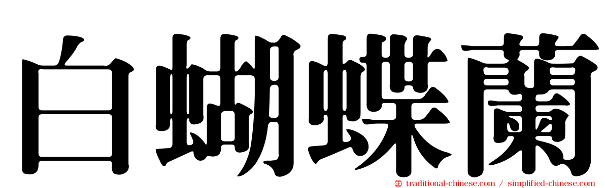 白蝴蝶蘭