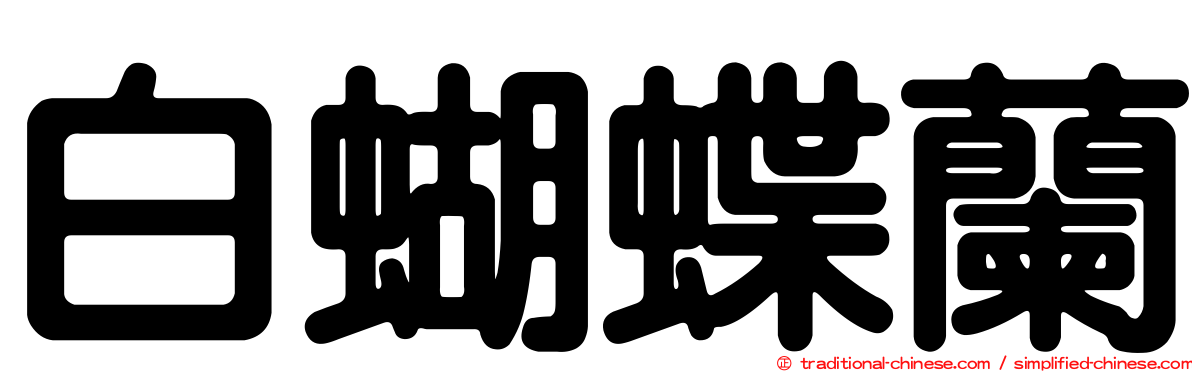 白蝴蝶蘭