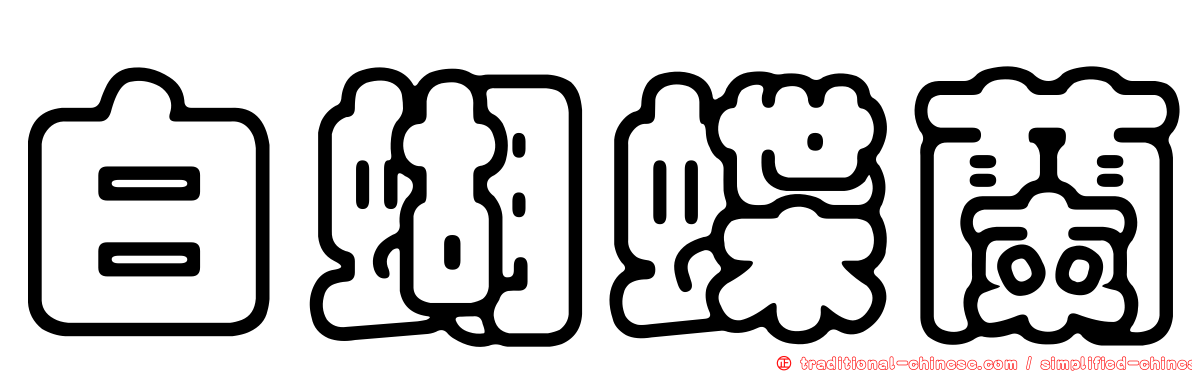 白蝴蝶蘭