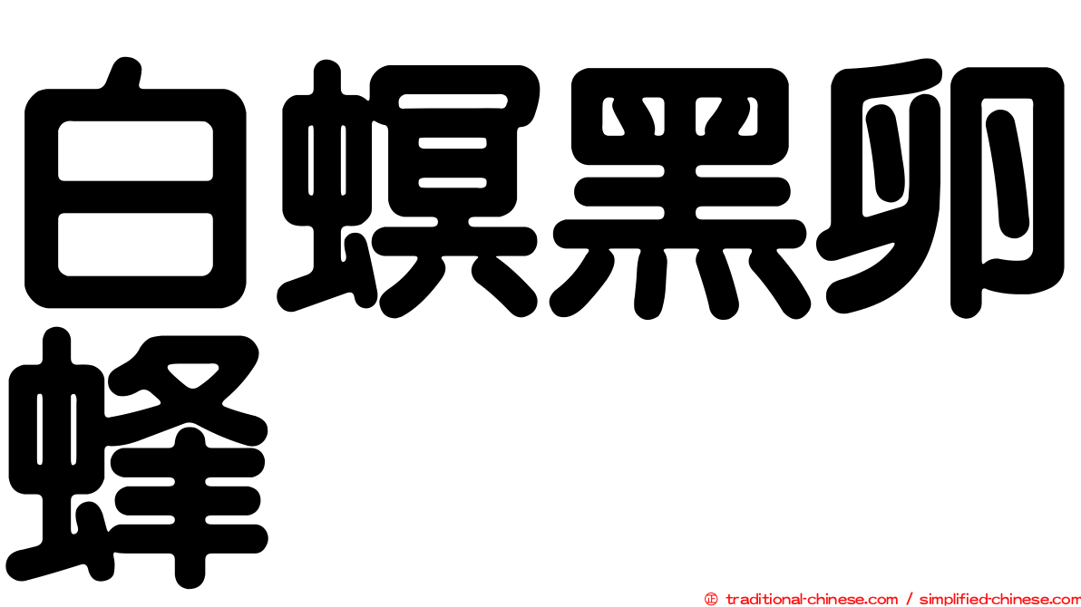 白螟黑卵蜂