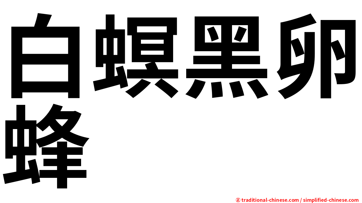 白螟黑卵蜂