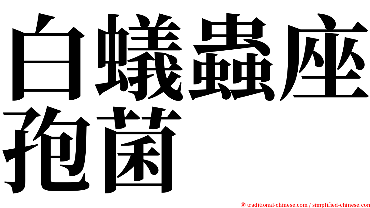 白蟻蟲座孢菌 serif font
