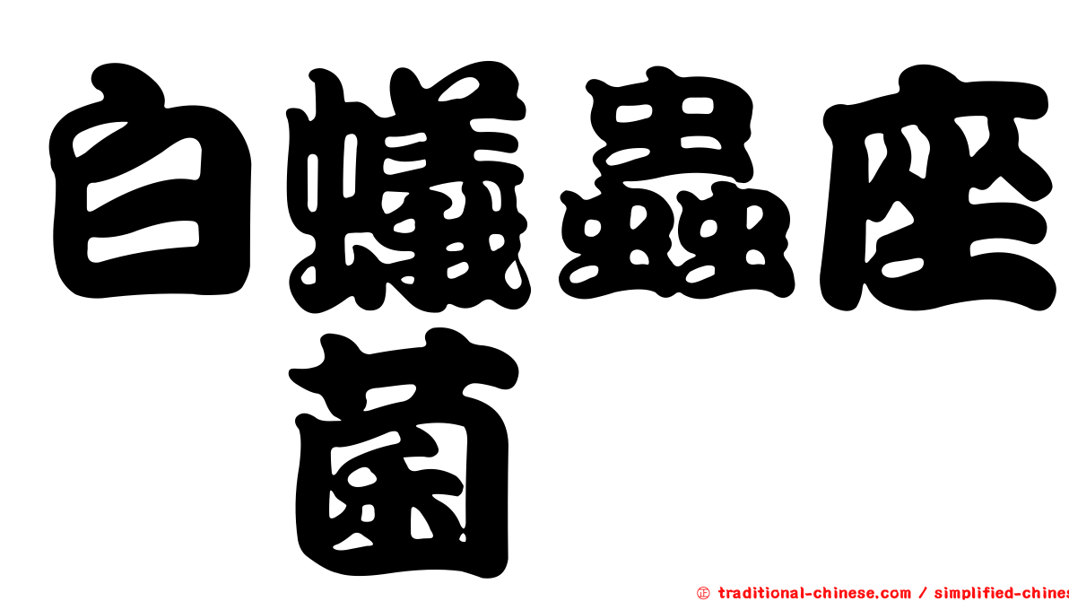 白蟻蟲座孢菌
