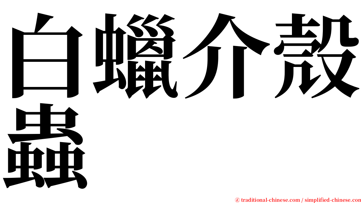 白蠟介殼蟲 serif font