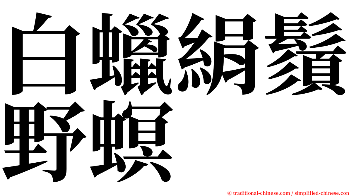白蠟絹鬚野螟 serif font