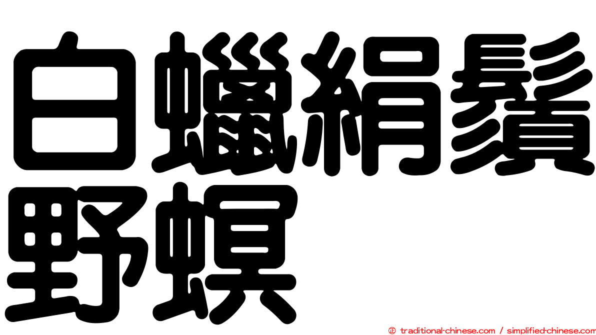 白蠟絹鬚野螟