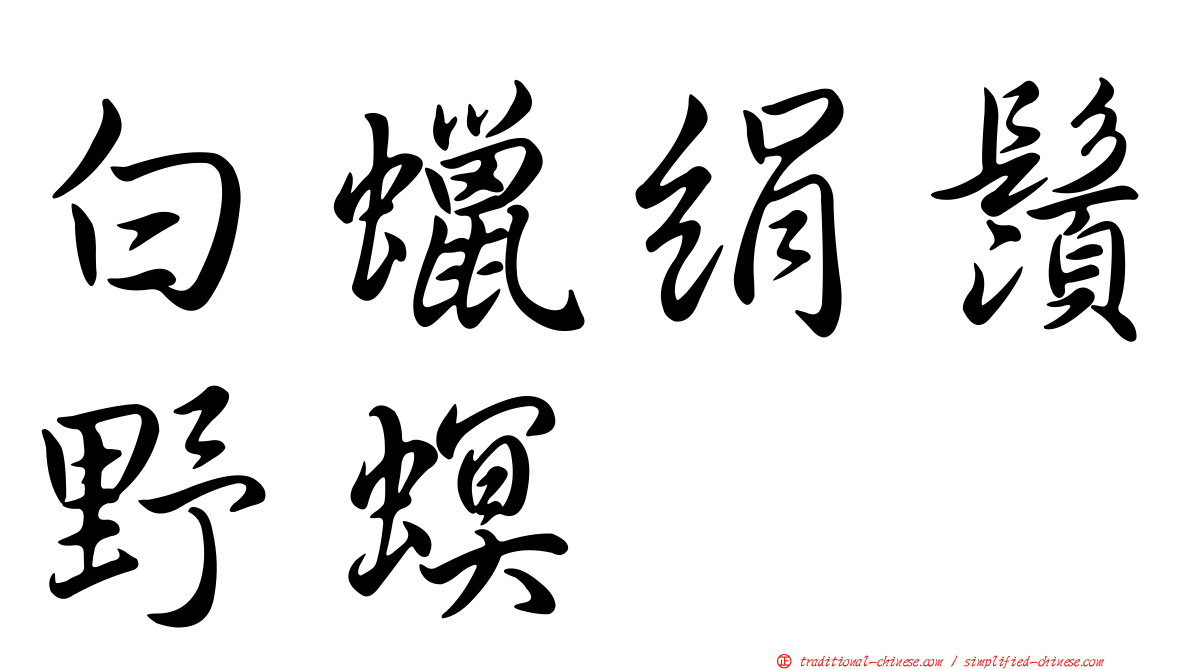 白蠟絹鬚野螟