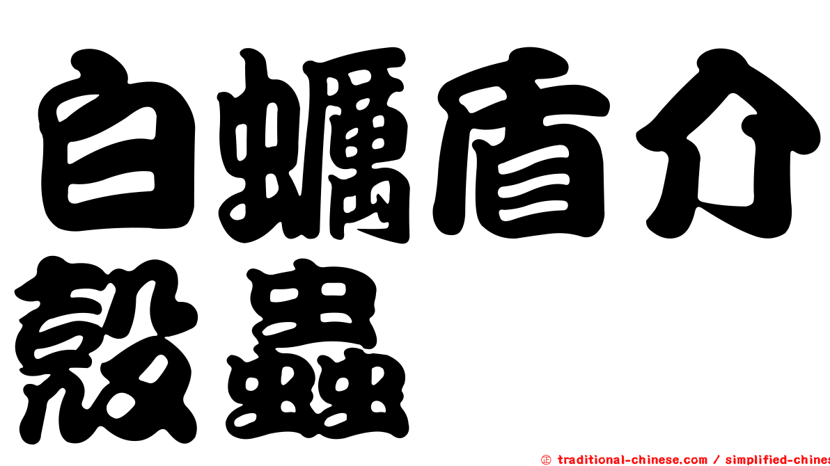 白蠣盾介殼蟲