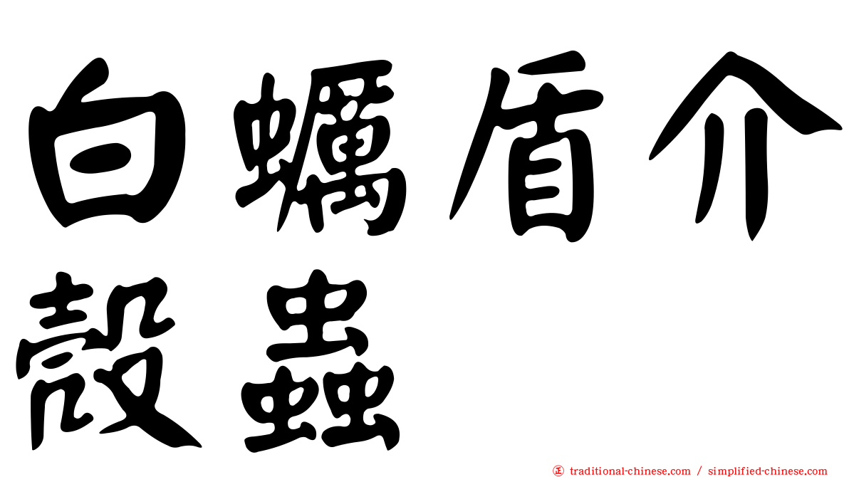 白蠣盾介殼蟲