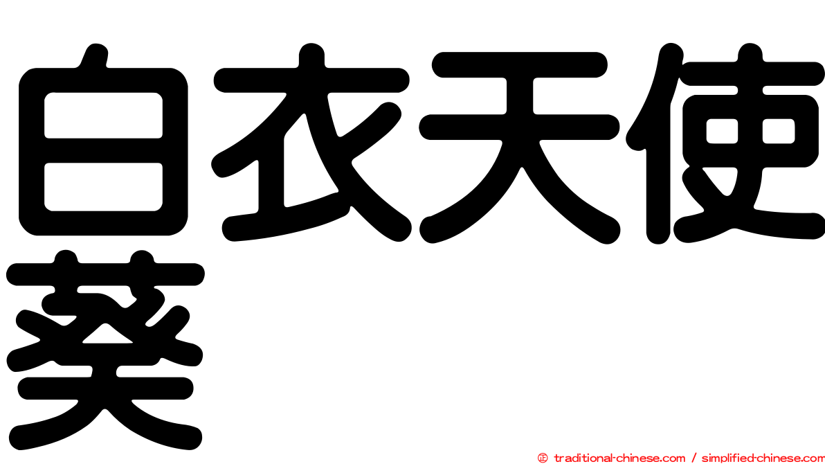 白衣天使葵