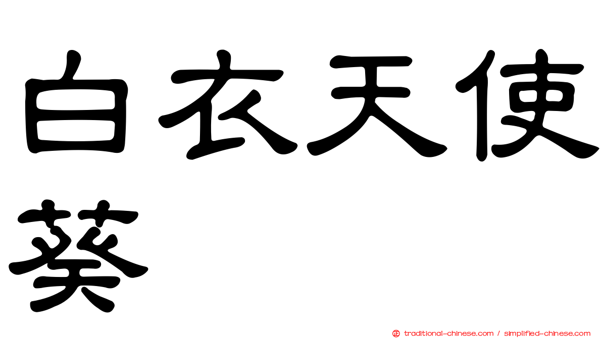 白衣天使葵