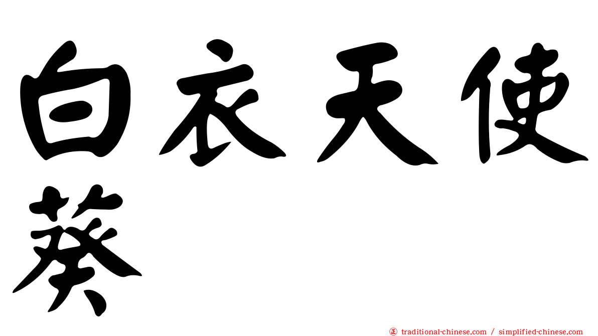 白衣天使葵