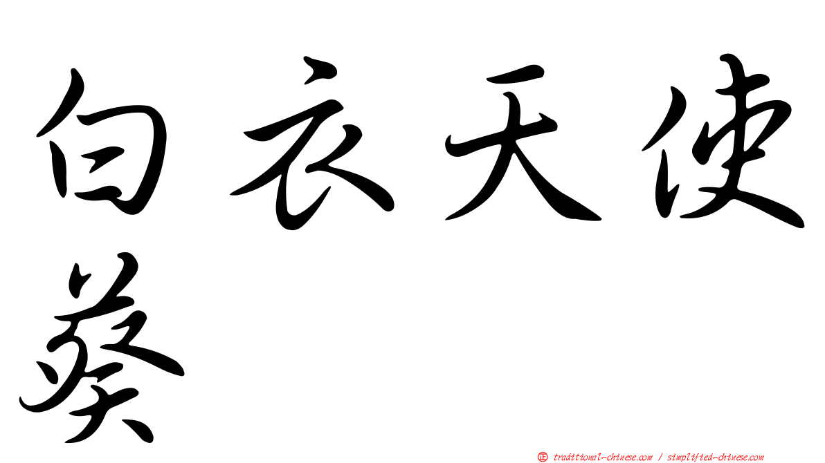白衣天使葵