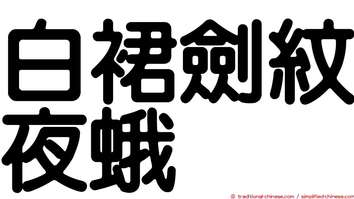 白裙劍紋夜蛾