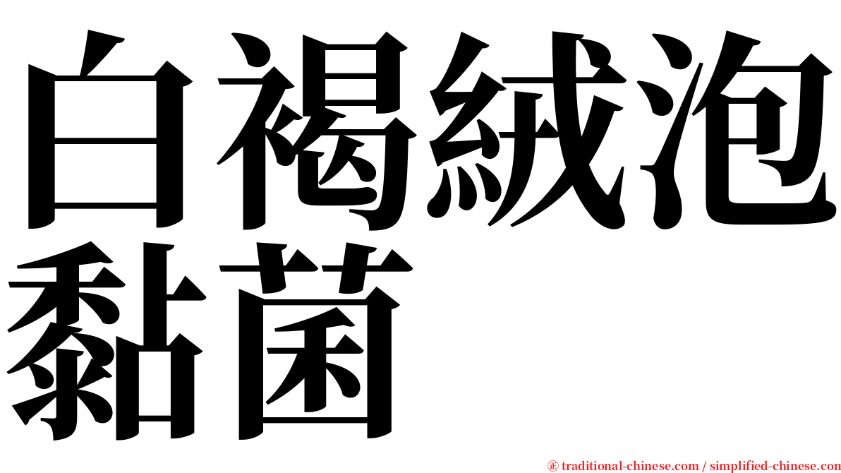 白褐絨泡黏菌 serif font