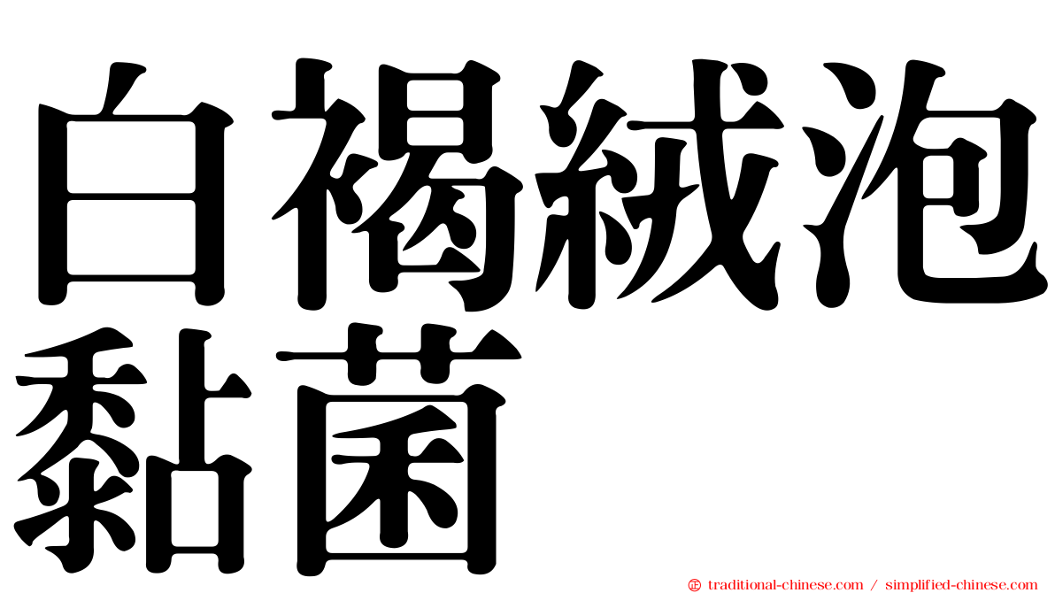 白褐絨泡黏菌