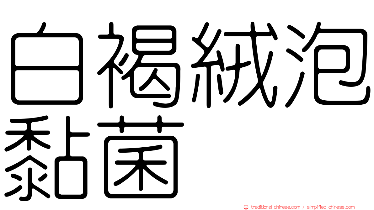 白褐絨泡黏菌