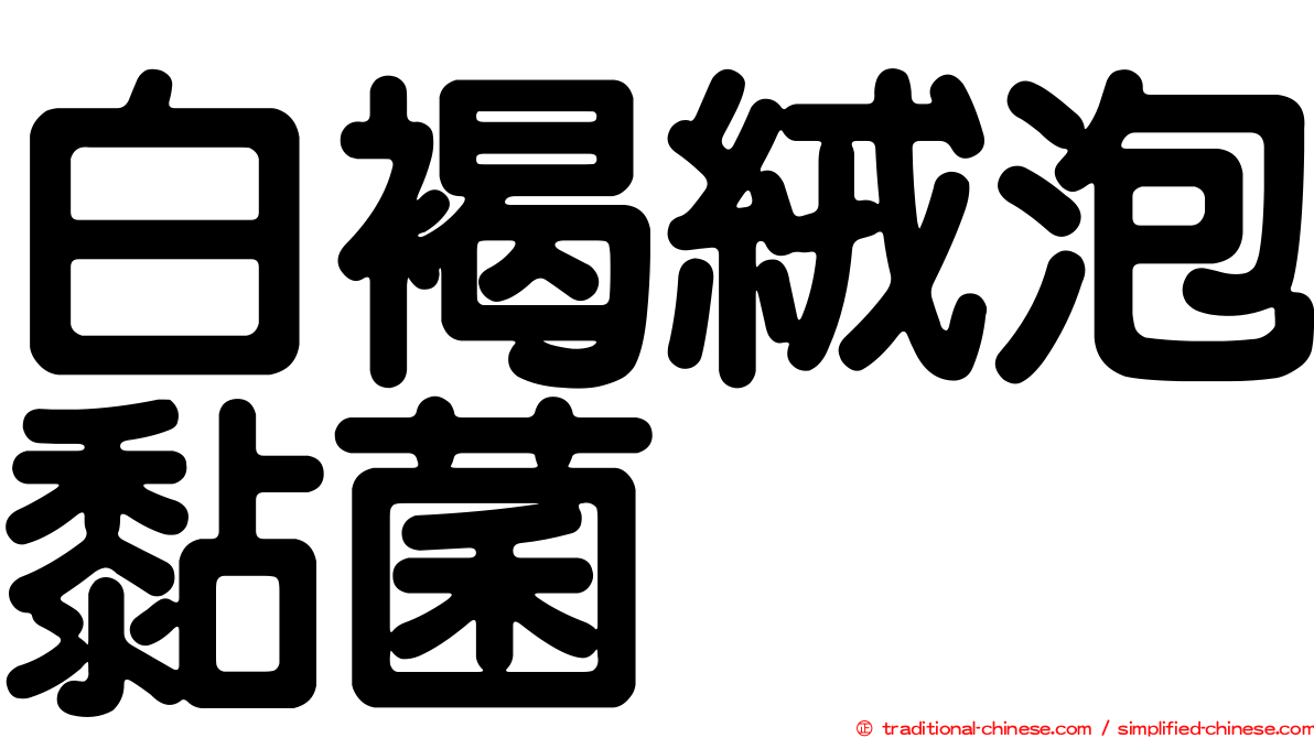 白褐絨泡黏菌