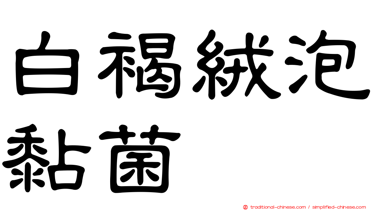 白褐絨泡黏菌