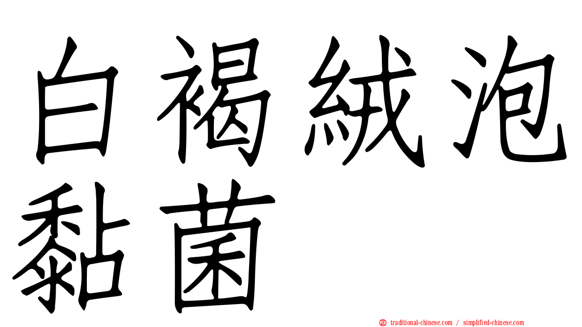 白褐絨泡黏菌