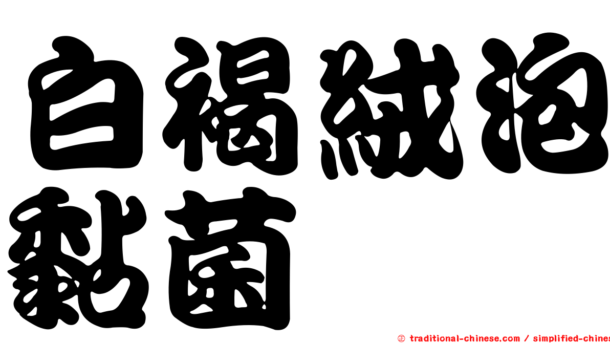 白褐絨泡黏菌