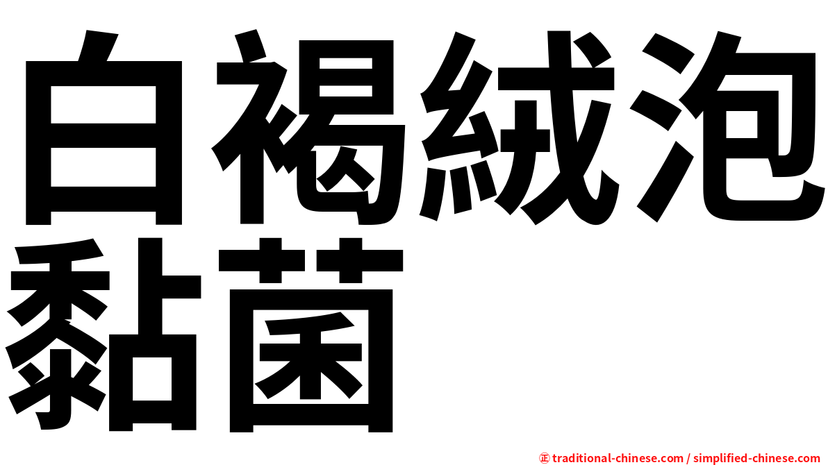 白褐絨泡黏菌