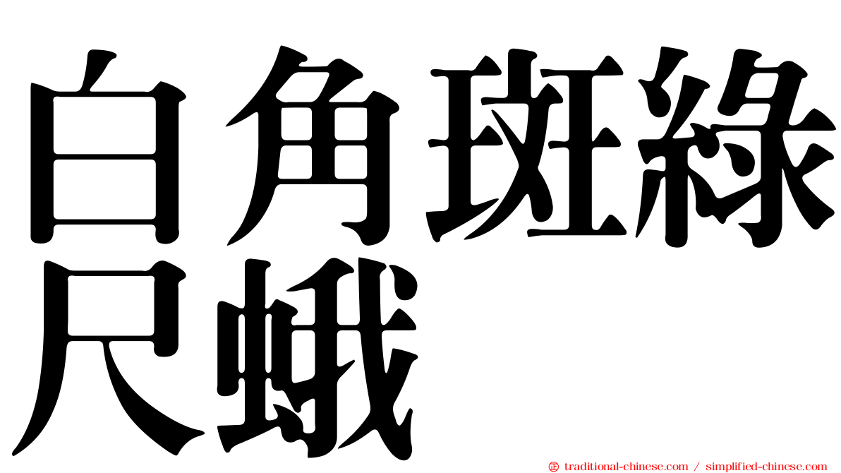 白角斑綠尺蛾