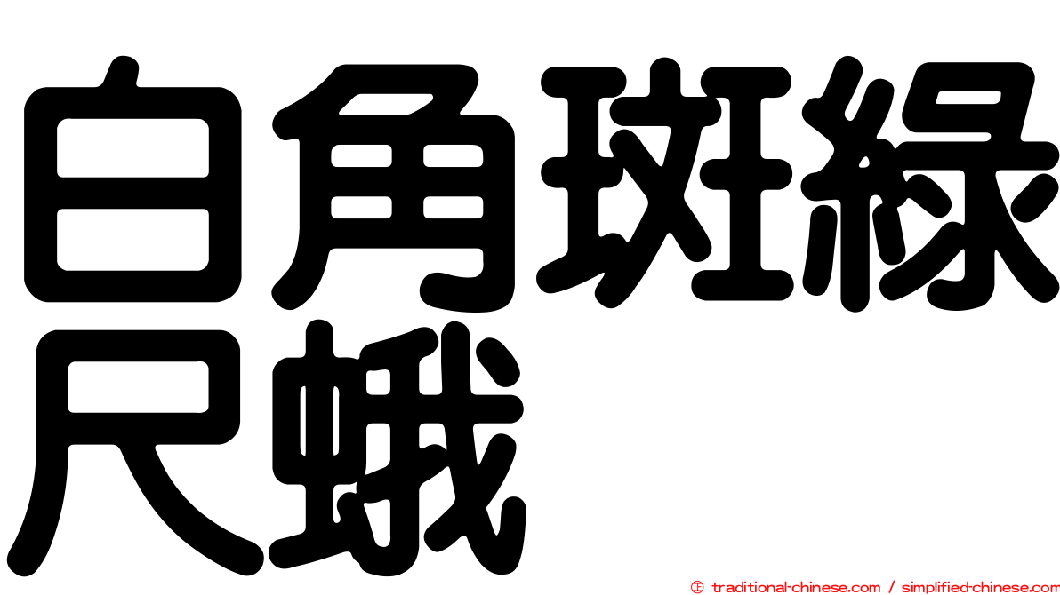 白角斑綠尺蛾