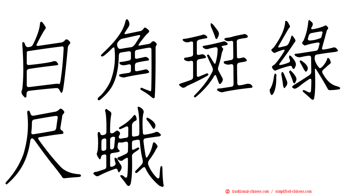 白角斑綠尺蛾