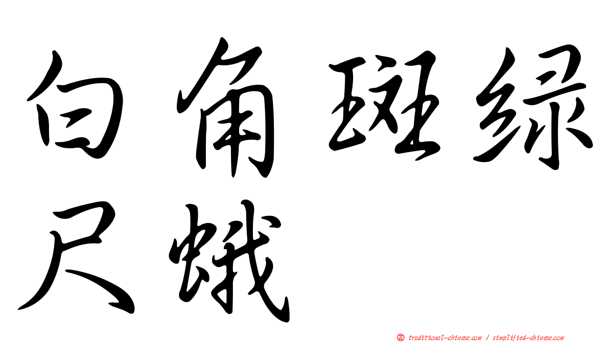 白角斑綠尺蛾