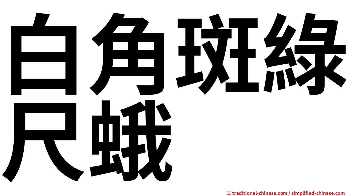 白角斑綠尺蛾