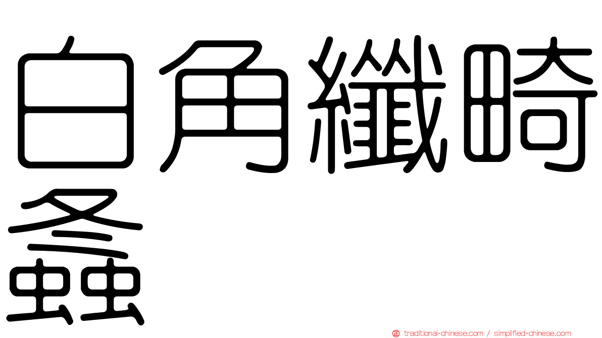 白角纖畸螽