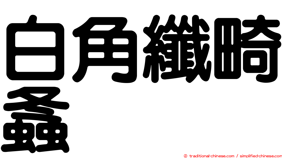 白角纖畸螽