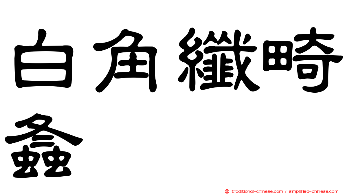 白角纖畸螽