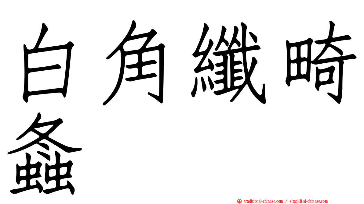 白角纖畸螽