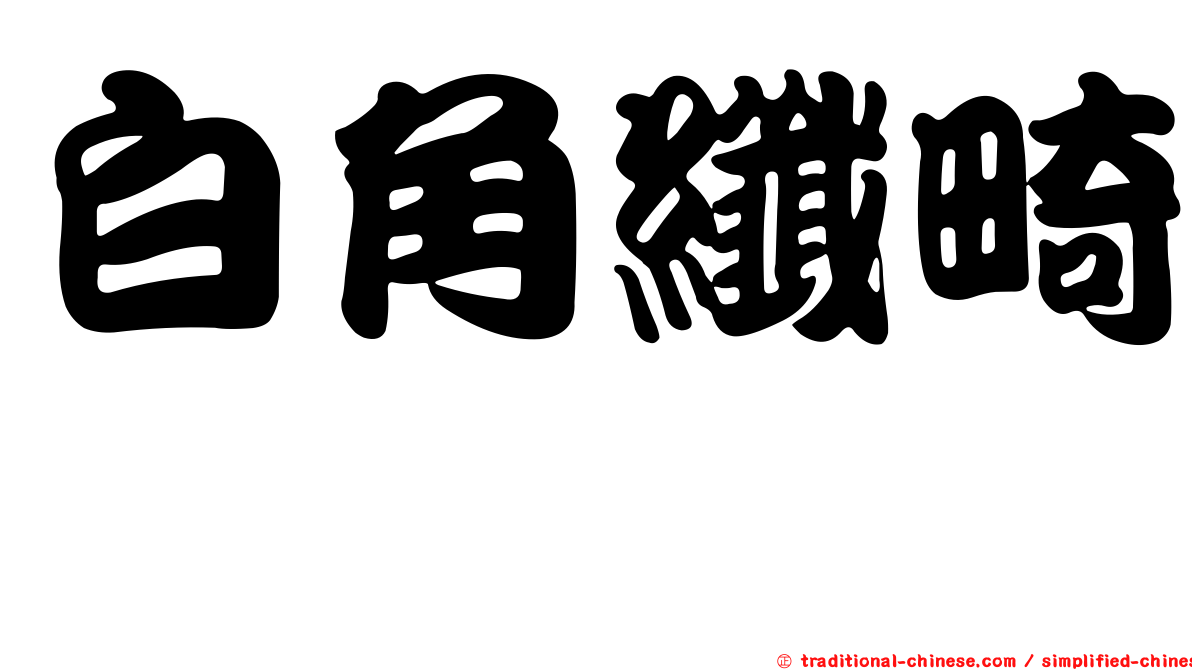 白角纖畸螽