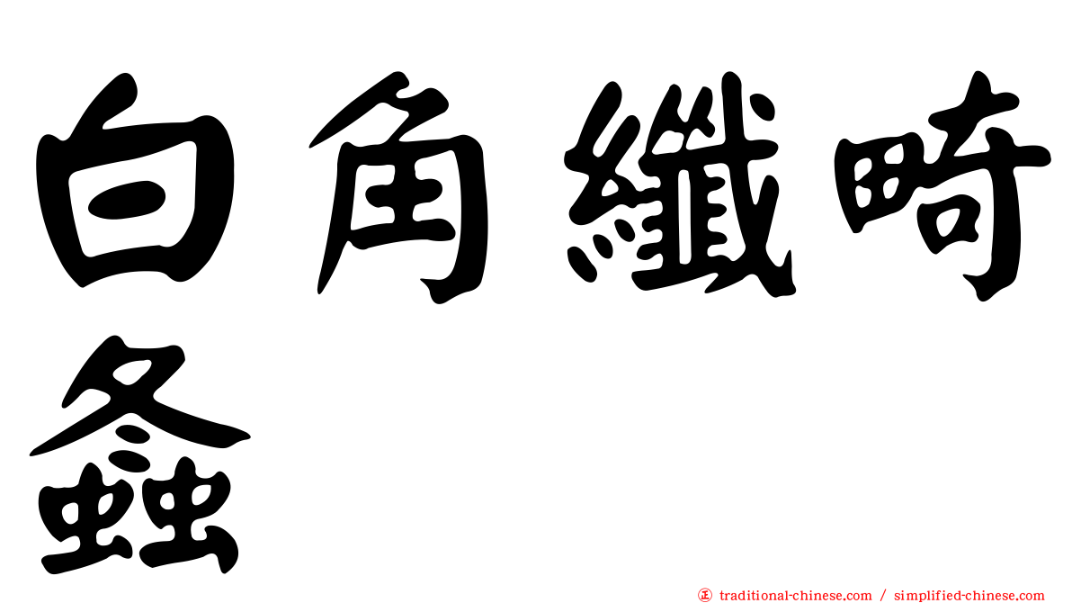 白角纖畸螽