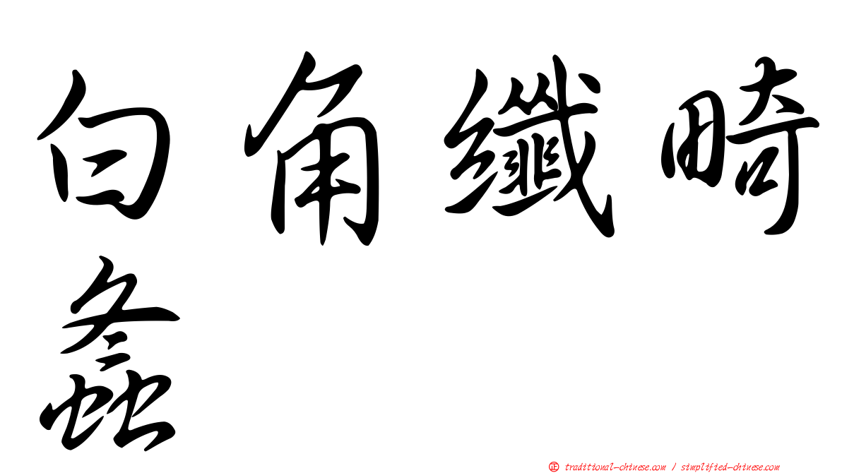 白角纖畸螽