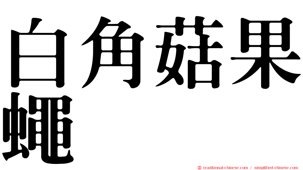 白角菇果蠅