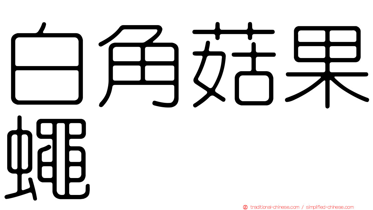 白角菇果蠅