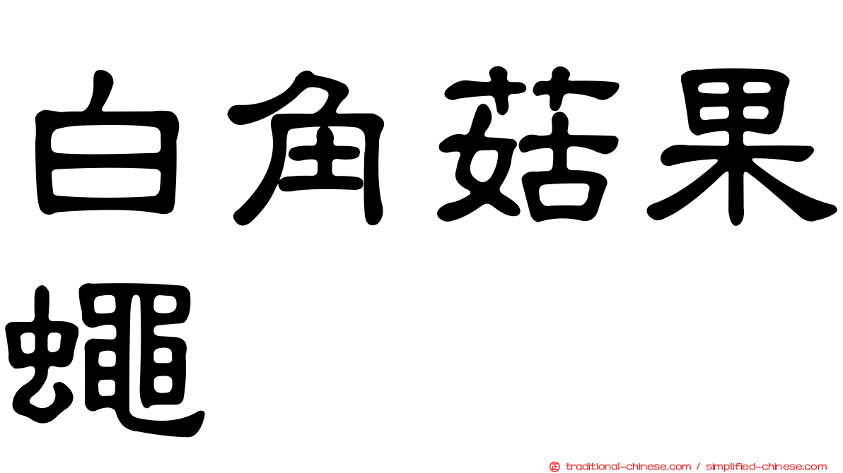 白角菇果蠅